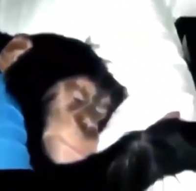 Blursed dream