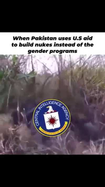 Silly feds