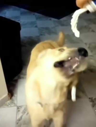 Cream boi