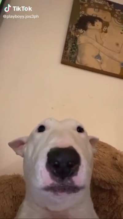 Walter with the wink
