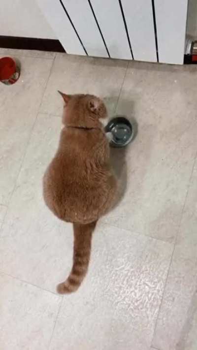 "I need food"