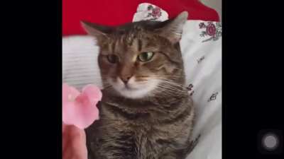 &ldquo;Aww..wtf.&rdquo;