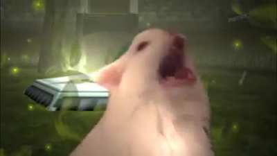 Aprecie o gato cantando no mundo de Link e seja feliz essa semana 👍🏻