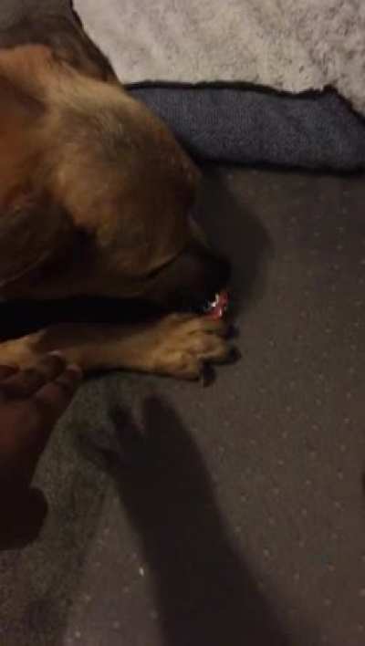 We don't give her empty chip bags anymore