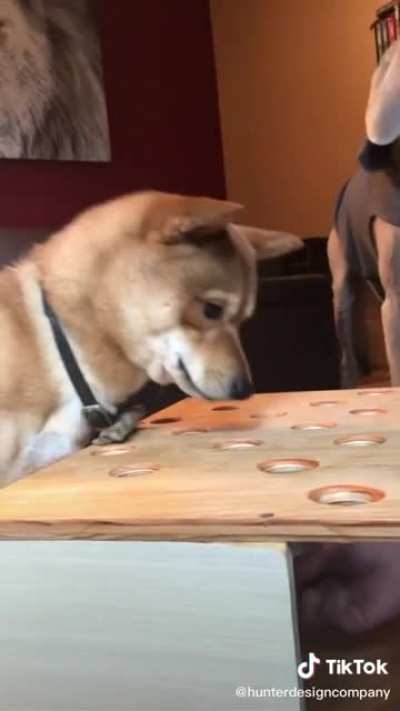 I&rsquo;ve never heard a dog scream like this