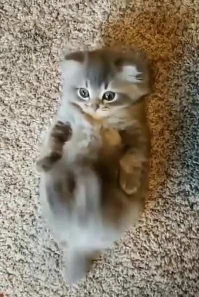 " Hey.. HEY !! Who said you could stop.?"