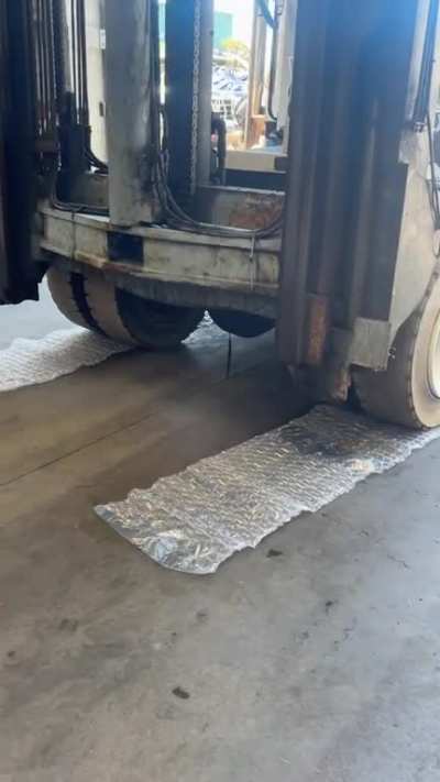 Using our marina bull to pop some bubble wrap