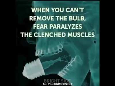 Light bulb