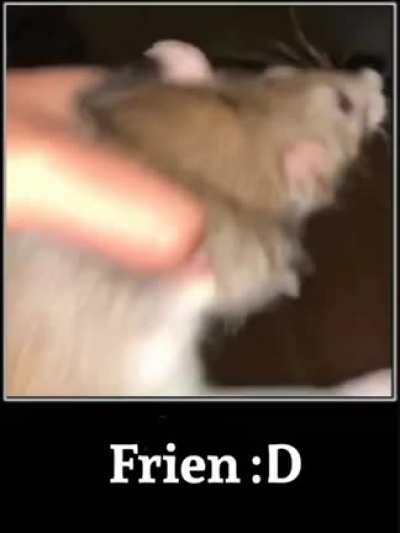 Frien:D