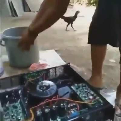 C&ecirc; e doente garaio
