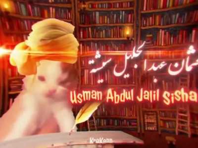 The halal cats☪️️