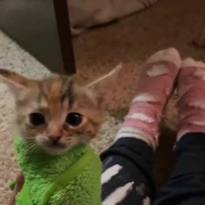 To this day, Athena can&rsquo;t stand being purritoed