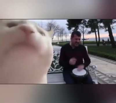 hoca derse gelmeyince sıkılan agalar ve ben