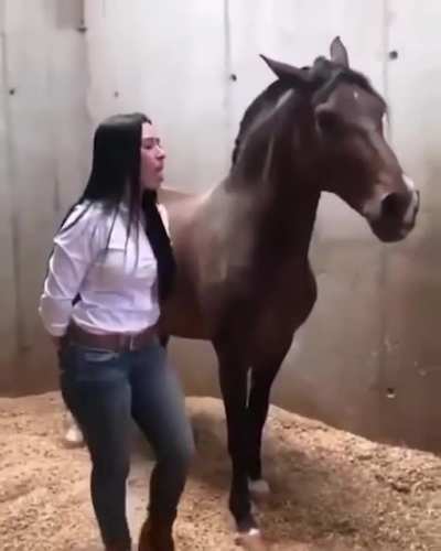 Весёлая лошадка