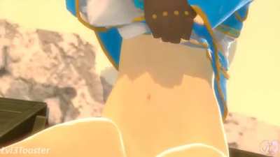 Zelda BOTW