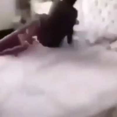 ayo 😳