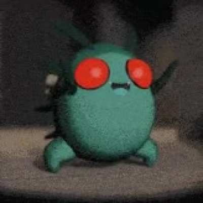 Our favorite little friend