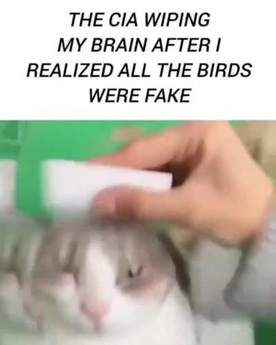 Kwjbbd! &amp;gt;|] qi-382asheiUuuu AAAAAAAAAAAAA