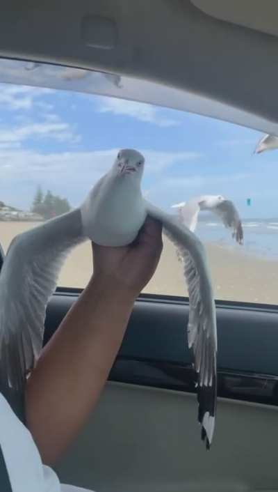 Catch and release