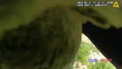 Avondale Police Officer Shoots Shoplifting Suspect After Confrontation
