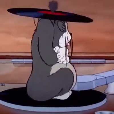CAT SHITPOST 2