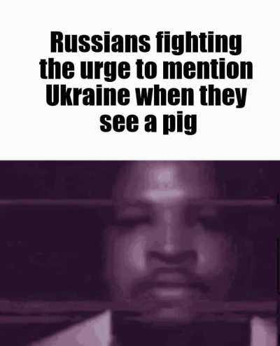 🐷