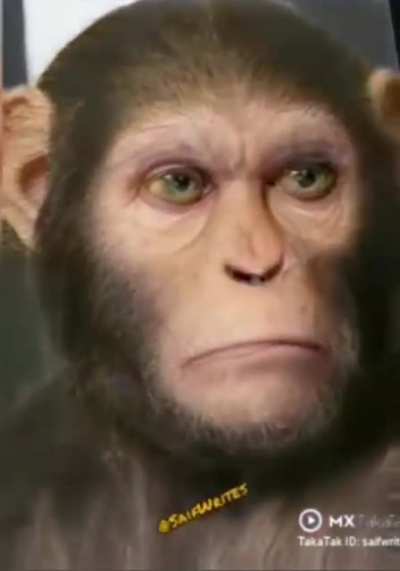 Monke
