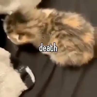 I'm 15 and this is yeet