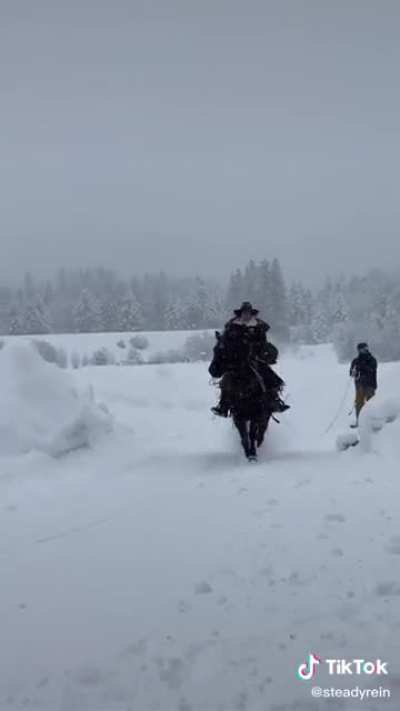 Cowboys in the winter