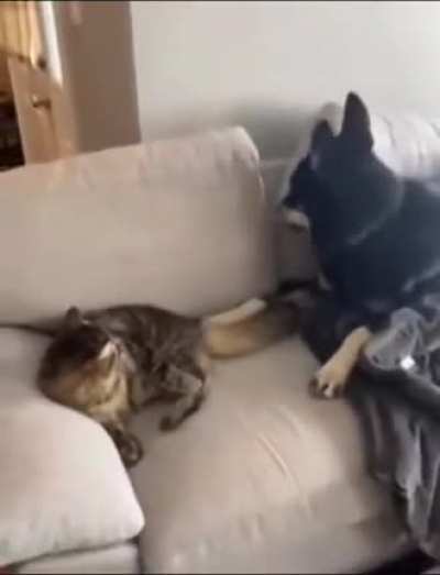When you&rsquo;re angry because your friend won&rsquo;t play with you.
