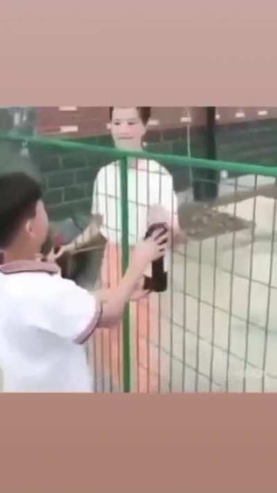 Yesyesyesno