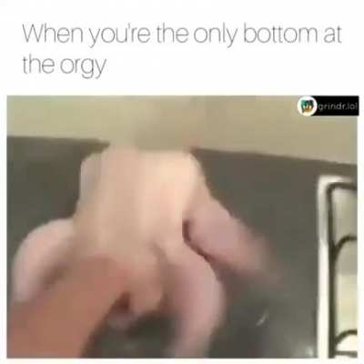 Salmonella