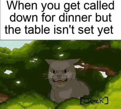 Dinner is ready