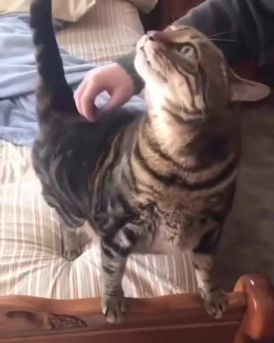 y u м м y a i r