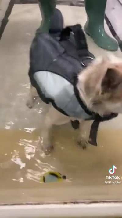 Use your survival instincts (not my content)