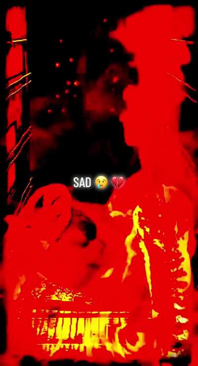 Sad Kitten Video 🥲💔