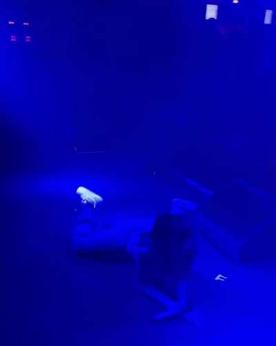 princess nokia on stage
