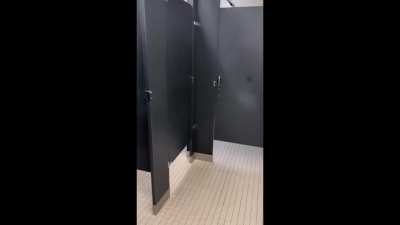 Another day in the toilet