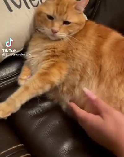 За бочек