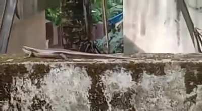 A video from me native place. First time go easy on me