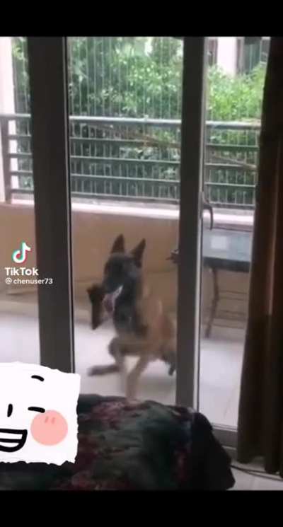 Let me in!