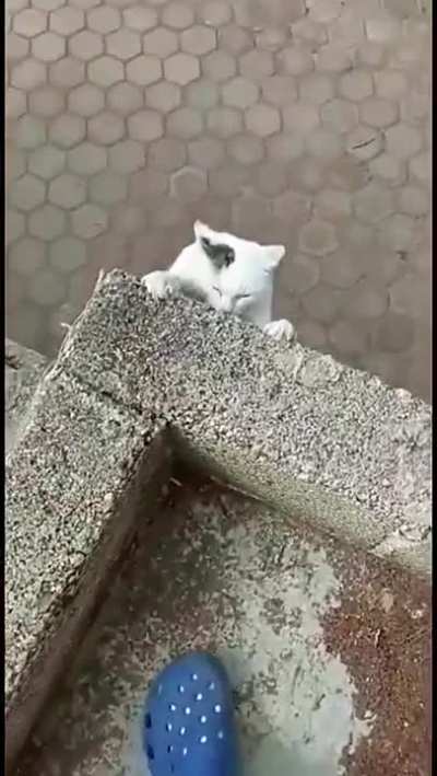 Close one 