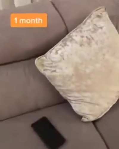 me irl