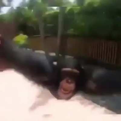 :))
