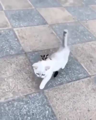 MHW be like this