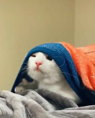 When your alarm didn&rsquo;t ring &amp;amp; you realize you overslept