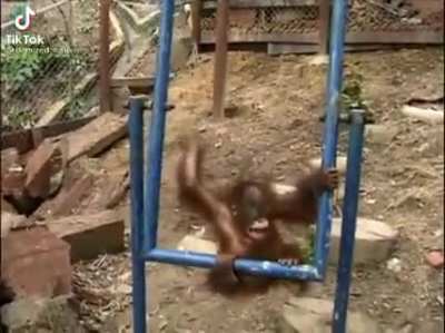 Sad for monkey