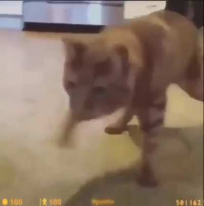 NOOO