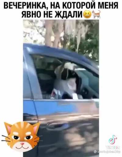 Вечеринка, на которой меня явно не ждали