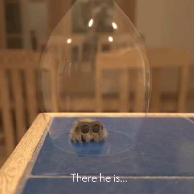 Little tiny SPIDER